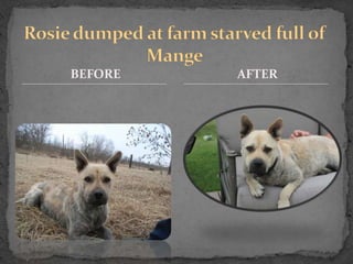 BEFORE   AFTER
 