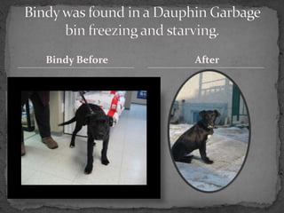 Bindy Before   After
 
