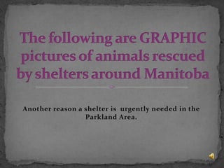 Another reason a shelter is urgently needed in the
                 Parkland Area.
 