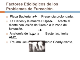 Factores Etiológicos de los
Problemas de Furcación.
 Placa Bacteriana Presencia prolongada.
 La Caries y la muerte Pulpar Afecta al
diente con lesión de furca o a la zona de
furcación.
 Anatomía de la zona Bacterias, límite
AMC.
 Trauma Oclusal Elemento Coadyuvante.
 