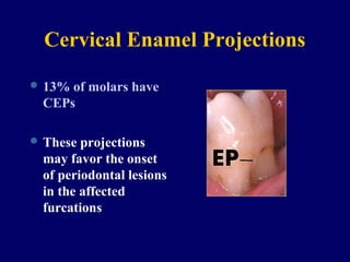 Cervical Enamel Projection