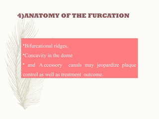 Comprehensive Overview of Furcation Involvement and Its Management in ...