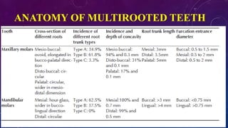 ANATOMY OF MULTIROOTED TEETH
 