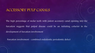 ACCESSORY PULP CANALS
The high percentage of molar teeth with patent accessory canal opening into the
furcation suggests that pulpal disease could be an initiating cofactor in the
development of furcation involvement
Furcation involvement - combined endodontic periodontic defect
 