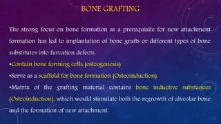 BONE GRAFTING
The strong focus on bone formation as a prerequisite for new attachment
formation has led to implantation of bone grafts or different types of bone
substitutes into furcation defects.
•Contain bone forming cells (osteogenesis)
•Serve as a scaffold for bone formation (Osteoinduction).
•Matrix of the grafting material contains bone inductive substances
(Osteoinduction), which would stimulate both the regrowth of alveolar bone
and the formation of new attachment.
 