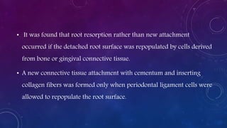 • It was found that root resorption rather than new attachment
occurred if the detached root surface was repopulated by cells derived
from bone or gingival connective tissue.
• A new connective tissue attachment with cementum and inserting
collagen fibers was formed only when periodontal ligament cells were
allowed to repopulate the root surface.
 