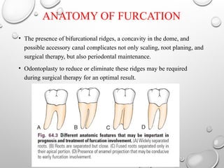 FURCATION and its management-1.pptxbphgg | PPTX