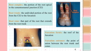 Comprehensive Overview of Furcation Involvement in Multirooted Teeth ...