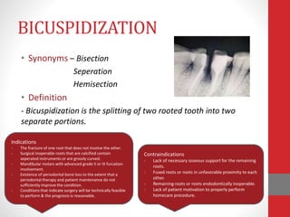 BICUSPIDIZATION
• Synonyms – Bisection
Seperation
Hemisection
• Definition
- Bicuspidization is the splitting of two rooted tooth into two
separate portions.
Indications
- The fracture of one root that does not involve the other.
- Surgical inoperable roots that are calcified contain
seperated instruments or are grossly curved.
- Mandibular molars with advanced grade II or III furcation
involvement.
- Existence of periodontal bone loss to the extent that a
periodontal therapy and patient maintenance do not
sufficiently improve the condition.
- Conditions that indicate surgery will be technically feasible
to perform & the prognosis is reasonable.
Contraindications
- Lack of necessary osseous support for the remaining
roots.
- Fused roots or roots in unfavorable proximity to each
other.
- Remaining roots or roots endodontically inoperable.
- Lack of patient motivation to properly perform
homecare procedure.
 