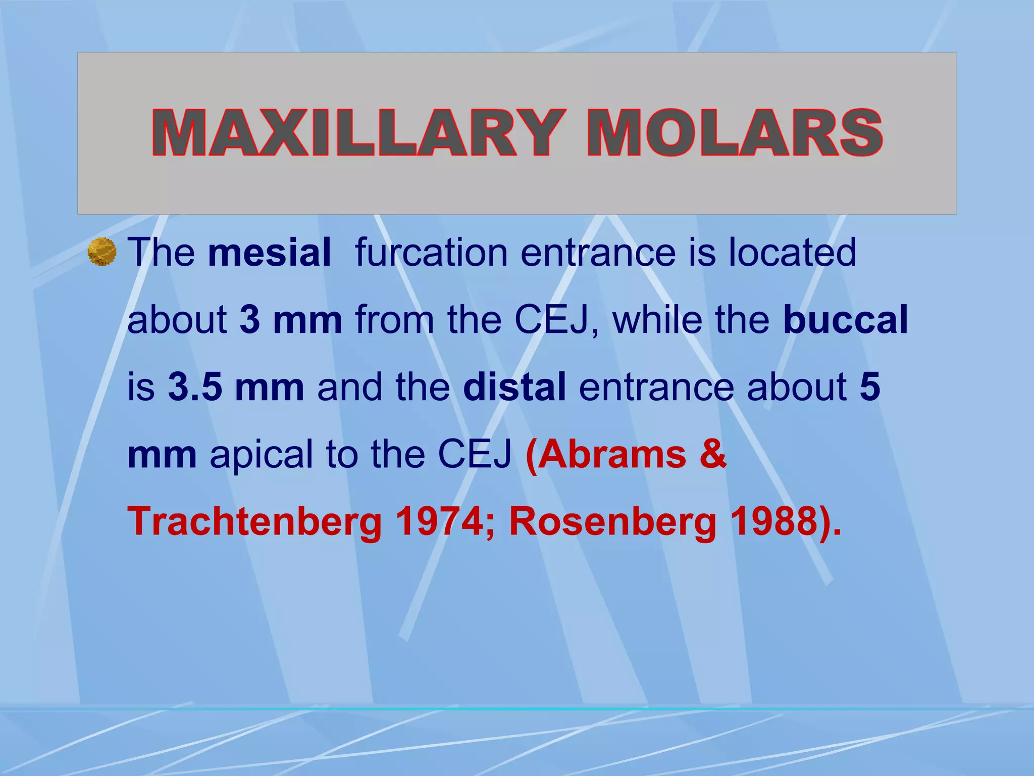 The mesial furcation entrance is located
about 3 mm from the CEJ, while the buccal
is 3.5 mm and the distal entrance about 5
mm apical to the CEJ (Abrams &
Trachtenberg 1974; Rosenberg 1988).
 
