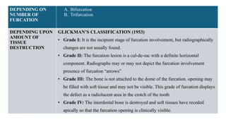 Hamp Classification Comprehensive Management of Furcation Involvement in Periodontal ...