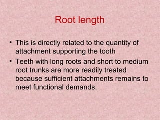 Root length
• This is directly related to the quantity of
attachment supporting the tooth
• Teeth with long roots and short to medium
root trunks are more readily treated
because sufficient attachments remains to
meet functional demands.
 
