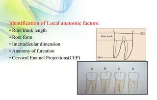 Interradicular Root FURCATION And Its Management In Periodontics | PPTX