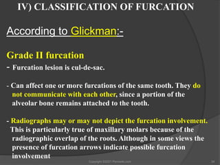 Hamp Classification Furcation the problem and its management | PPTX