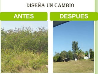 DISEÑA UN CAMBIO

ANTES         DESPUES
 