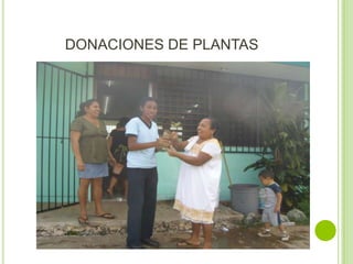 DONACIONES DE PLANTAS
 