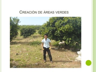 CREACIÓN DE ÁREAS VERDES
 