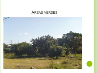 ÁREAS VERDES
 