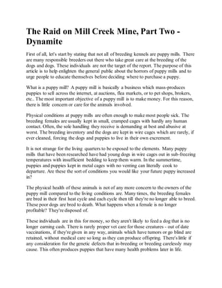 The Raid on Mill Creek Mine, Part Two -
Dynamite
First of all, let's start by stating that not all of breeding kennels are puppy mills. There
are many responsible breeders out there who take great care at the breeding of the
dogs and dogs. These individuals are not the target of the report. The purpose of this
article is to help enlighten the general public about the horrors of puppy mills and to
urge people to educate themselves before deciding where to purchase a puppy.
What is a puppy mill? A puppy mill is basically a business which mass-produces
puppies to sell across the internet, at auctions, flea markets, or to pet shops, brokers,
etc.. The most important objective of a puppy mill is to make money. For this reason,
there is little concern or care for the animals involved.
Physical conditions at puppy mills are often enough to make most people sick. The
breeding females are usually kept in small, cramped cages with hardly any human
contact. Often, the sole handling they receive is demanding at best and abusive at
worst. The breeding inventory and the dogs are kept in wire cages which are rarely, if
ever cleaned, forcing the dogs and puppies to live in their own excrement.
It is not strange for the living quarters to be exposed to the elements. Many puppy
mills that have been researched have had young dogs in wire cages out in sub-freezing
temperatures with insufficient bedding to keep them warm. In the summertime,
puppies and puppies kept in metal cages with no venting can literally cook to
departure. Are these the sort of conditions you would like your future puppy increased
in?
The physical health of these animals is not of any more concern to the owners of the
puppy mill compared to the living conditions are. Many times, the breeding females
are bred in their first heat cycle and each cycle then till they're no longer able to breed.
These poor dogs are bred to death. What happens when a female is no longer
profitable? They're disposed of.
These individuals are in this for money, so they aren't likely to feed a dog that is no
longer earning cash. There is rarely proper vet care for those creatures - out of date
vaccinations, if they're given in any way, animals which have tumors or go blind are
retained, without medical care so long as they can produce offspring. There's little if
any consideration for the genetic defects that in-breeding or breeding carelessly may
cause. This often produces puppies that have many health problems later in life.
 