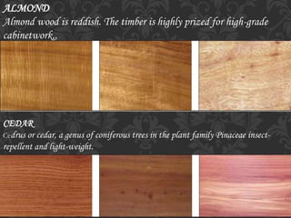 ALMOND
Almond wood is reddish. The timber is highly prized for high-grade
cabinetwork,,
CEDAR
Cedrus or cedar, a genus of coniferous trees in the plant family Pinaceae insect-
repellent and light-weight.
 