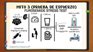 MITO 3 (PRUEBA DE ESFUERZO)
 