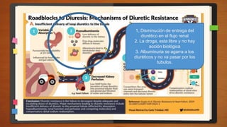 1, Disminución de entrega del
diurético en el flujo renal
2. La droga, esta libre y no hay
acción biológica
3. Albuminuria se agarra a los
diuréticos y no va pasar por los
tubulos.
 