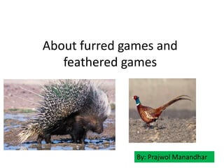 About furred games and
feathered games
By: Prajwol Manandhar
 