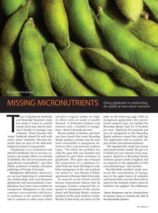 By Larry Reichenberger



MISSING MICRONUTRIENTS                                                               Using glyphosate is complicating
                                                                                     the uptake of some minor nutrients




T
        he use of glyphosate herbicide     soil pH or organic matter are high,       table on the following page. With no
        and Roundup Resistant crops        or where soils are sandy or poorly        manganese application, the conven-
        has made it easier to control      drained. A 60-bushel soybean crop         tional soybean type out yielded the
        weeds, but it may also be mak-     removes only a handful of manga-          Roundup Ready type by 12 bushels
        ing it harder to manage crop       nese—about .6 pounds per acre.            per acre. Applying five pounds per
        nutrients. That’s because this        Recent studies in Kansas and Indi-     acre of manganese to the Roundup
‘major’ herbicide doesn’t fit well with    ana have found that some Roundup          Ready soybeans erased this yield lag.
many ‘minor’ nutrients—the trace ele-      Ready soybean varieties may be even       The application had no positive im-
ments that are part of the delicately      more susceptible to manganese de-         pact on the conventional soybeans.
balanced system of crop growth.            ficiency than conventional soybean          “We repeated this study last season
  “Glyphosate is an economical and         types. “We think the problem lies         and found similar results. We got a 4-
effective herbicide, but it can have ex-   with the gene that was inserted into      6 bushel per acre increase from man-
tensive non-target effects on nutrient     soybeans to give them resistance to       ganese applied to Roundup Ready
availability, the soil environment and     glyphosate. This gene also changed        soybeans grown under irrigation, but
agricultural sustainability,” says Don     the composition of a substance ex-        no response to the application on the
Huber, professor of botany and plant       uded from the roots that helps to solu-   conventional type,” says Gordon.
pathology at Purdue University.            bilize manganese in the soil so plants      Ties that bind. Gordon’s study mea-
  Manganese deficiency. Research-          can utilize it,” says Barney Gordon,      sured the concentration of manga-
ers are just beginning to understand       agronomist at Kansas State University.    nese in the upper leaves of soybeans
the relationships that exist between          In research at the North Central       and found there was less than half as
glyphosate and micronutrients. Com-        Kansas Experiment Station that he         much in the resistant variety when no
plications have been most evident for      manages, Gordon compared the re-          fertilizer was applied. This difference
manganese. Manganese is the most           sponse to manganese of the conven-
common micronutrient deficiency            tional and Roundup Ready versions         Above: Manganese may be a limiting factor
in soybeans in the eastern cornbelt        (isolines) of the same soybean variety.   for growers trying to maximize the yield of
and is common in other areas where         Results of that study are shown in the    Roundup Ready soybeans..

                                                                                                                     THE FURROW 23
 