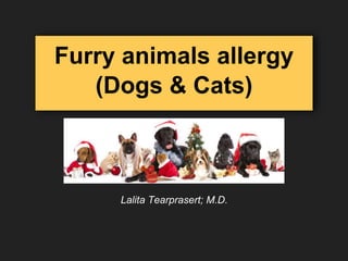 Furry animals allergy
(Dogs & Cats)
Lalita Tearprasert; M.D.
 