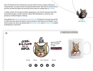 Furry Influencers And Their Fans Furry Influencers And Their Fans