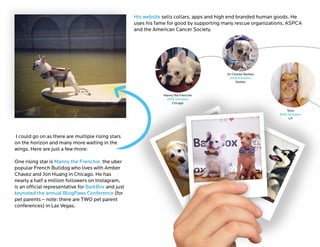 Furry Influencers And Their Fans Furry Influencers And Their Fans