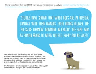 Furry Influencers And Their Fans Furry Influencers And Their Fans