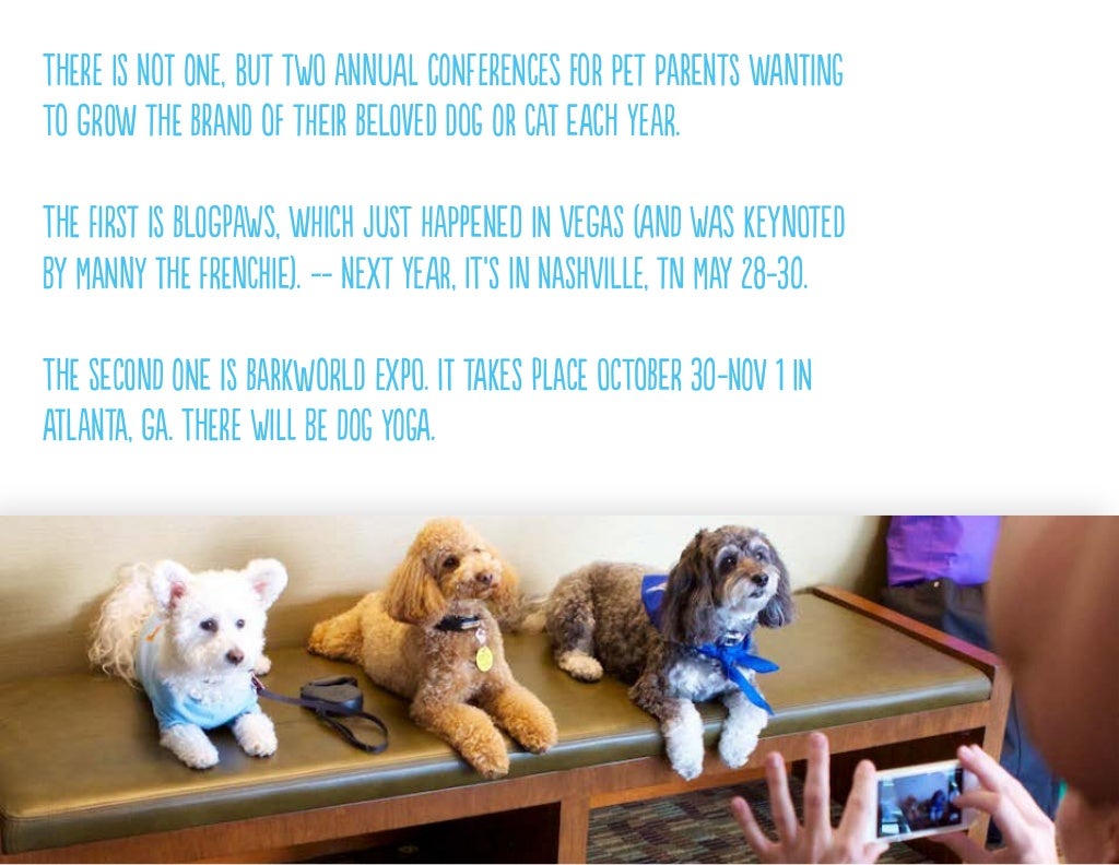 There Is Not One But There Is Not One But