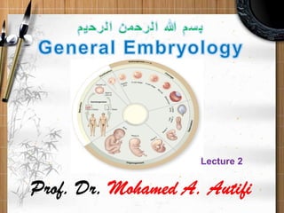 Bones of the Pelvic Girdle
And Lower Extremity
Prof. Mohamed A. Autifi
Lecture 2
 