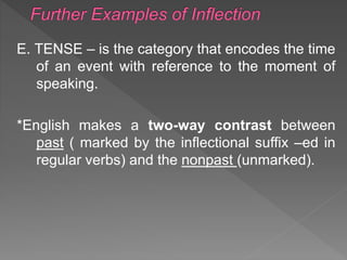 Further examples of Inflection | PPT | Free download