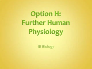 Option H: Further Human Physiology IB Biology 