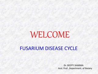 WELCOME
FUSARIUM DISEASE CYCLE
Dr. DEEPTI SHARMA
Asst. Prof. ,Department. of Botany
 