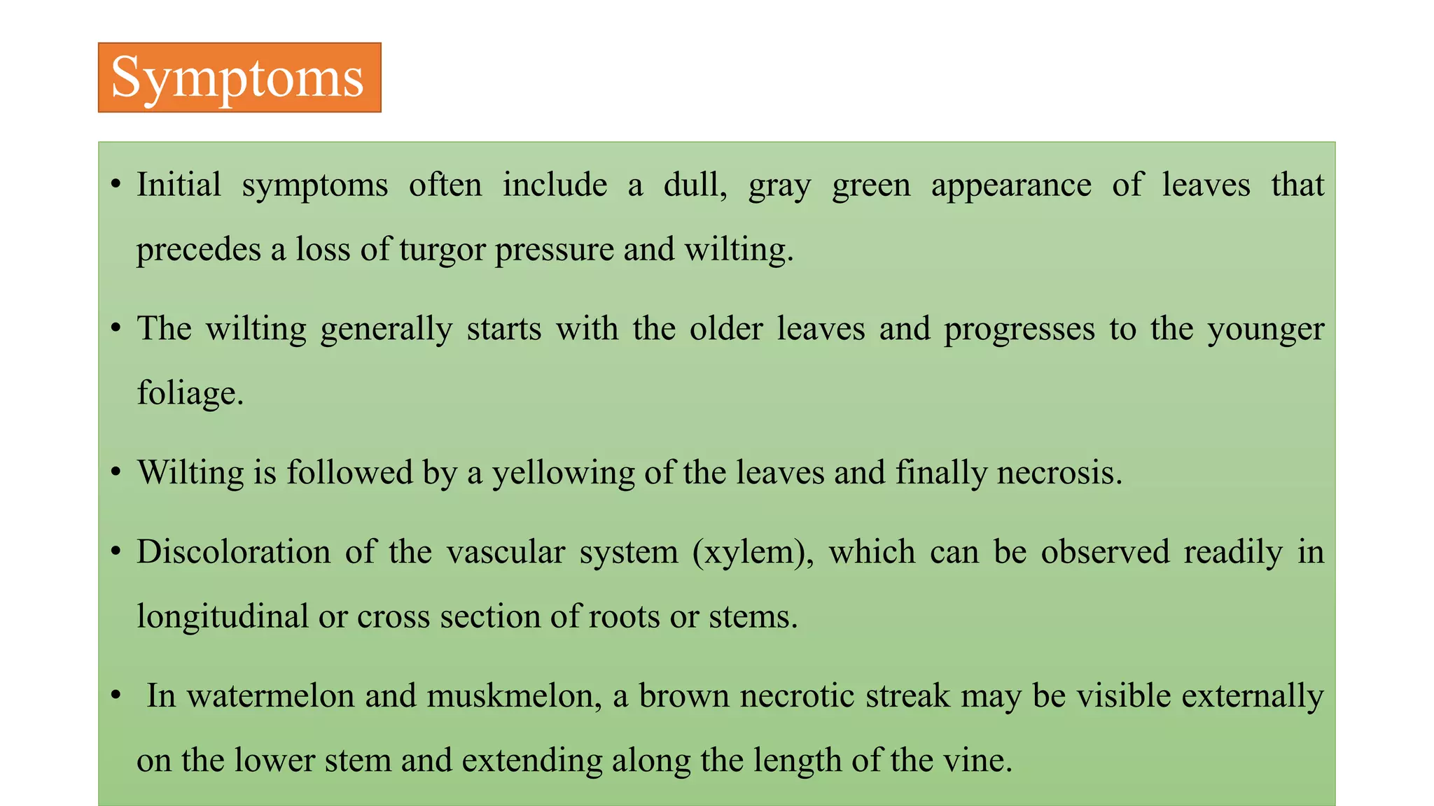 IDM for Fusarium wilt of cucurbits | PPTX
