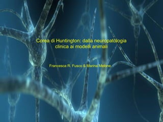 Corea di Huntington: dalla neuropatologia clinica ai modelli animali Francesca R. Fusco & Marina Melone   