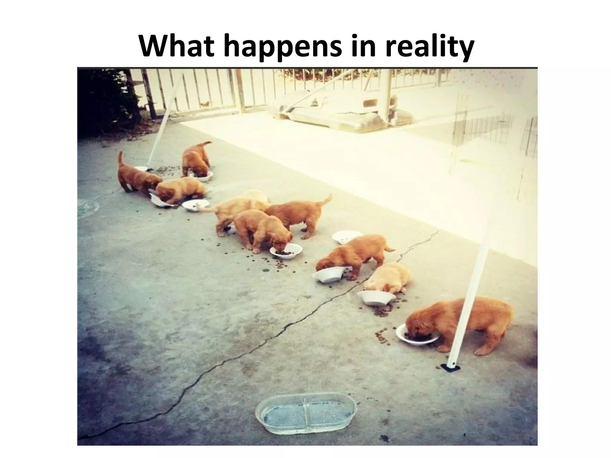 What happens in reality
 
