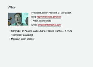 Who
Principal Solution Architect & Fuse Expert
Blog:
Twitter: @cmoulliard
Email:
Committer on Apache Camel, Karaf, Fabric8, Hawtio … & PMC
Technology evangelist
Mountain Biker, Blogger
http://cmoulliard.github.io
cmoulliard@redhat.com
 