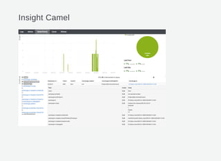 Insight Camel
 