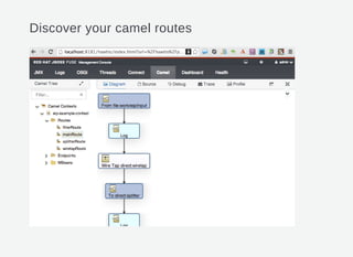 Discover your camel routes
 