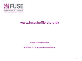 www.fusesheffield.org.uk
Caron Marie Bembrick
Sheffield TLI Programme Coordinator
1
 