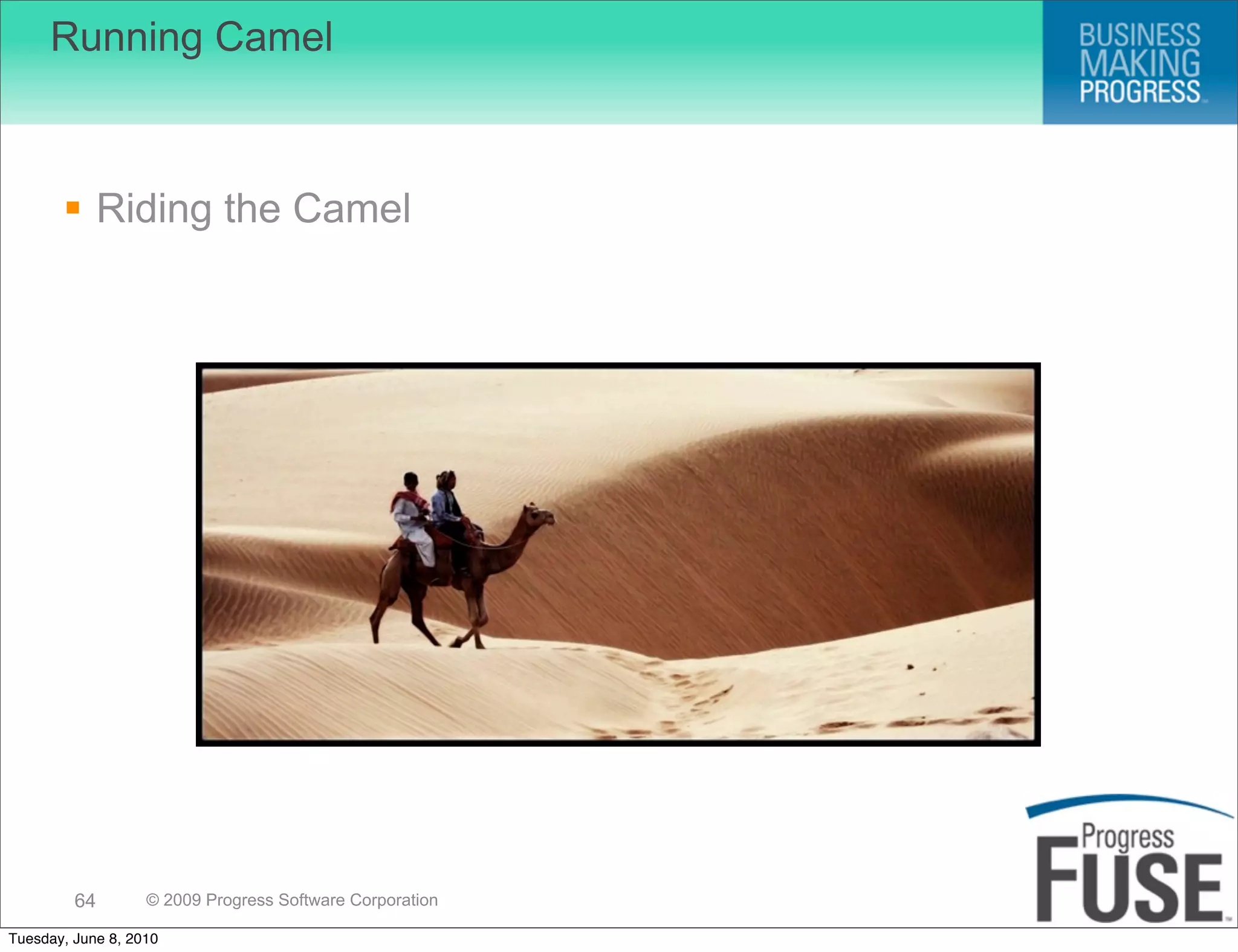 Running Camel



        Riding the Camel




         64        © 2009 Progress Software Corporation

Tuesday, June 8, 2010
 