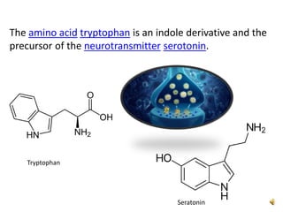 The amino acid tryptophan is an indole derivative and the
precursor of the neurotransmitter serotonin.
Tryptophan
Seratonin
 