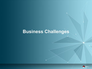 Business Challenges 
 