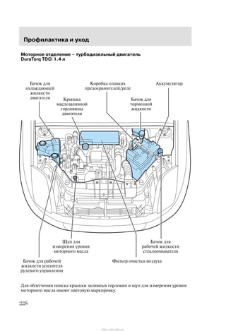 Ïðîôèëàêòèêà è óõîä
228
Ìîòîðíîå îòäåëåíèå Ć òóðáîäèçåëüíûé äâèãàòåëü
DuraTorq TDCi 1.4 ë
Áà÷îê äëÿ ðàáî÷åé
æèäêîñòè óñèëèòåëÿ
ðóëåâîãî óïðàâëåíèÿ
Ôèëüòð î÷èñòêè âîçäóõà
ÀêêóìóëÿòîðÁà÷îê äëÿ
îõëàæäàþùåé
æèäêîñòè
äâèãàòåëÿ
Êîðîáêà ïëàâêèõ
ïðåäîõðàíèòåëåé/ðåëå
Êðûøêà
ìàñëîçàëèâíîé
ãîðëîâèíû
äâèãàòåëÿ
Áà÷îê äëÿ
òîðìîçíîé
æèäêîñòè
Ùóï äëÿ
èçìåðåíèÿ óðîâíÿ
ìîòîðíîãî ìàñëà
Áà÷îê äëÿ
ðàáî÷åé æèäêîñòè
ñòåêëîîìûâàòåëÿ
Äëÿ îáëåã÷åíèÿ ïîèñêà êðûøêè çàëèâíûõ ãîðëîâèí è ùóï äëÿ èçìåðåíèÿ óðîâíÿ
ìîòîðíîãî ìàñëà èìåþò öâåòîâóþ ìàðêèðîâêó.
http://ava-avto.ru/
 