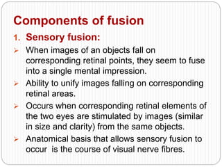 Components of fusion
1. Sensory fusion:
 When images of an objects fall on
corresponding retinal points, they seem to fuse
into a single mental impression.
 Ability to unify images falling on corresponding
retinal areas.
 Occurs when corresponding retinal elements of
the two eyes are stimulated by images (similar
in size and clarity) from the same objects.
 Anatomical basis that allows sensory fusion to
occur is the course of visual nerve fibres.
 