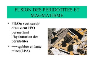 FUSION DES PERIDOTITES ET MAGMATISME ,[object Object],[object Object]